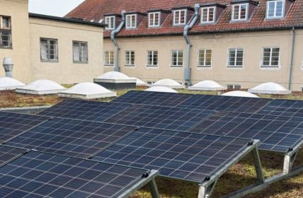 Ballastierte Aufständerungen garantieren windstabile Installation und schützen Gründach langfristig Werkzeuglose TRITON flora Lösung fixiert PV-Module sicher ohne (Foto: T.Werk GmbH)