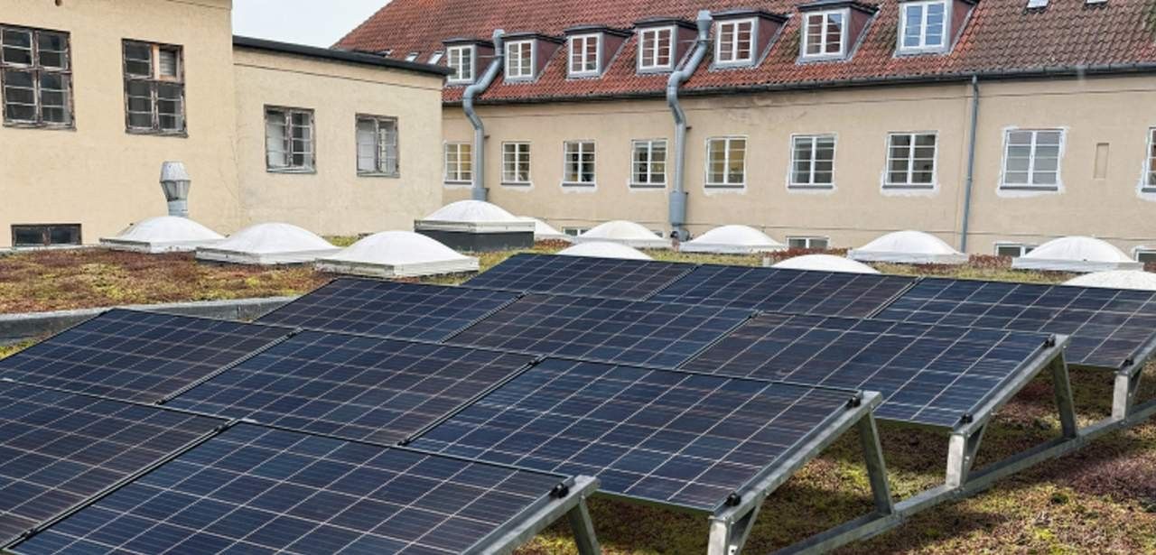 Ballastierte Aufständerungen garantieren windstabile Installation und schützen Gründach langfristig Werkzeuglose TRITON flora Lösung fixiert PV-Module sicher ohne (Foto: T.Werk GmbH)