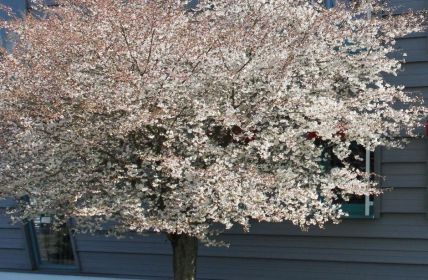 Weltgarten feiert 25 Jahre Verbindung von Natur, Architektur, (Foto: WITTENSTEIN SE/Susanne Böll)